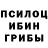 Псилоцибиновые грибы Psilocybe Matthews World