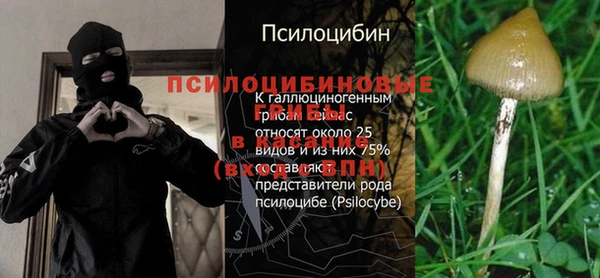 прущие крисы Абинск