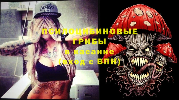 apvp Абаза